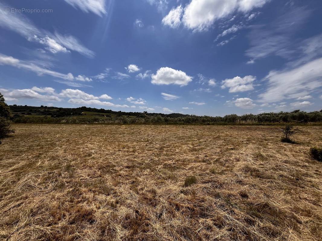 Terrain à AUMELAS