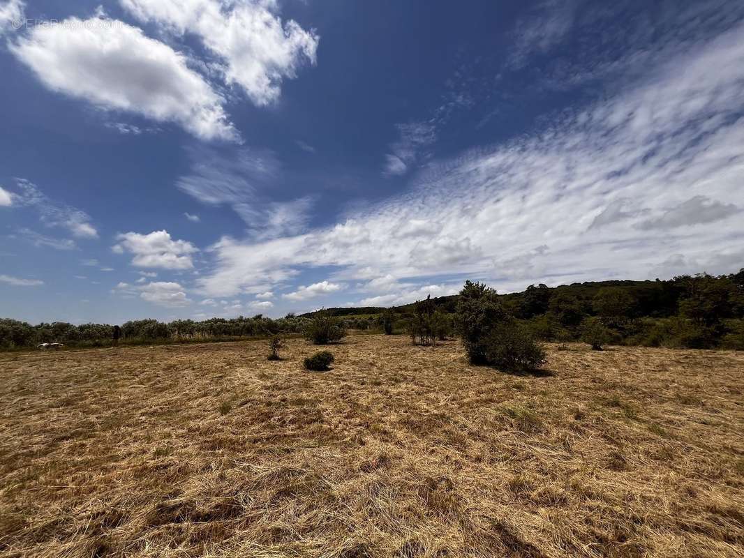 Terrain à AUMELAS