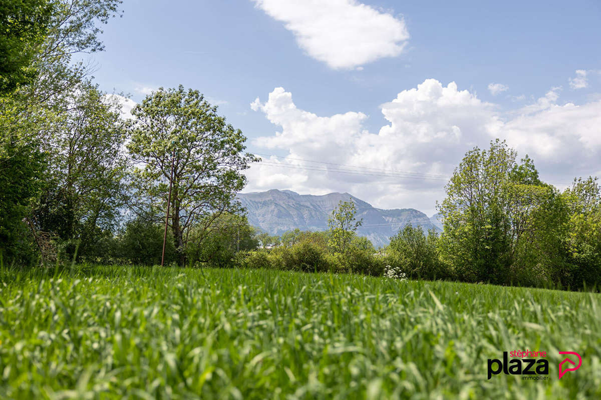 Terrain à FOREST-SAINT-JULIEN