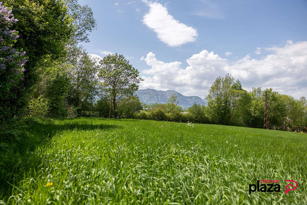 Terrain à FOREST-SAINT-JULIEN