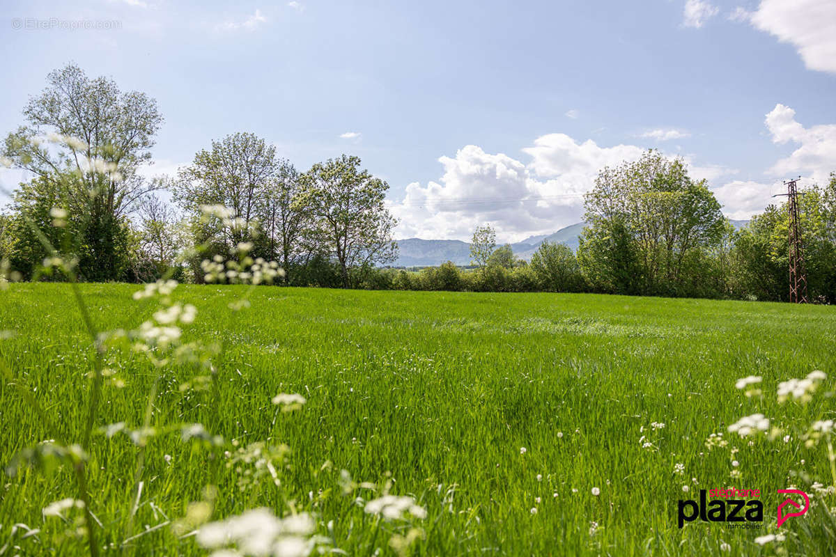 Terrain à FOREST-SAINT-JULIEN