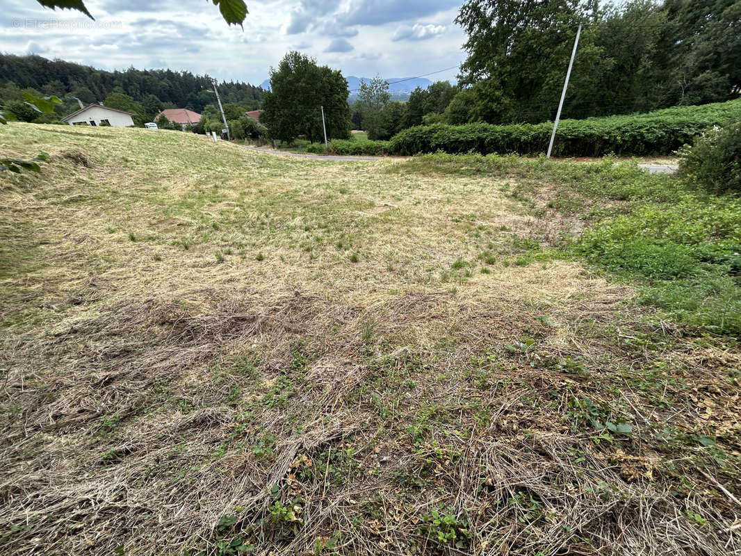 Terrain à BAN-DE-LAVELINE