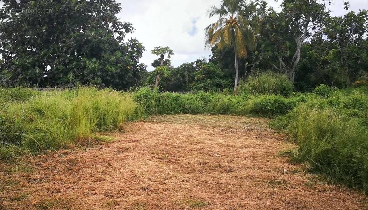 Terrain à MORNE-A-L&#039;EAU