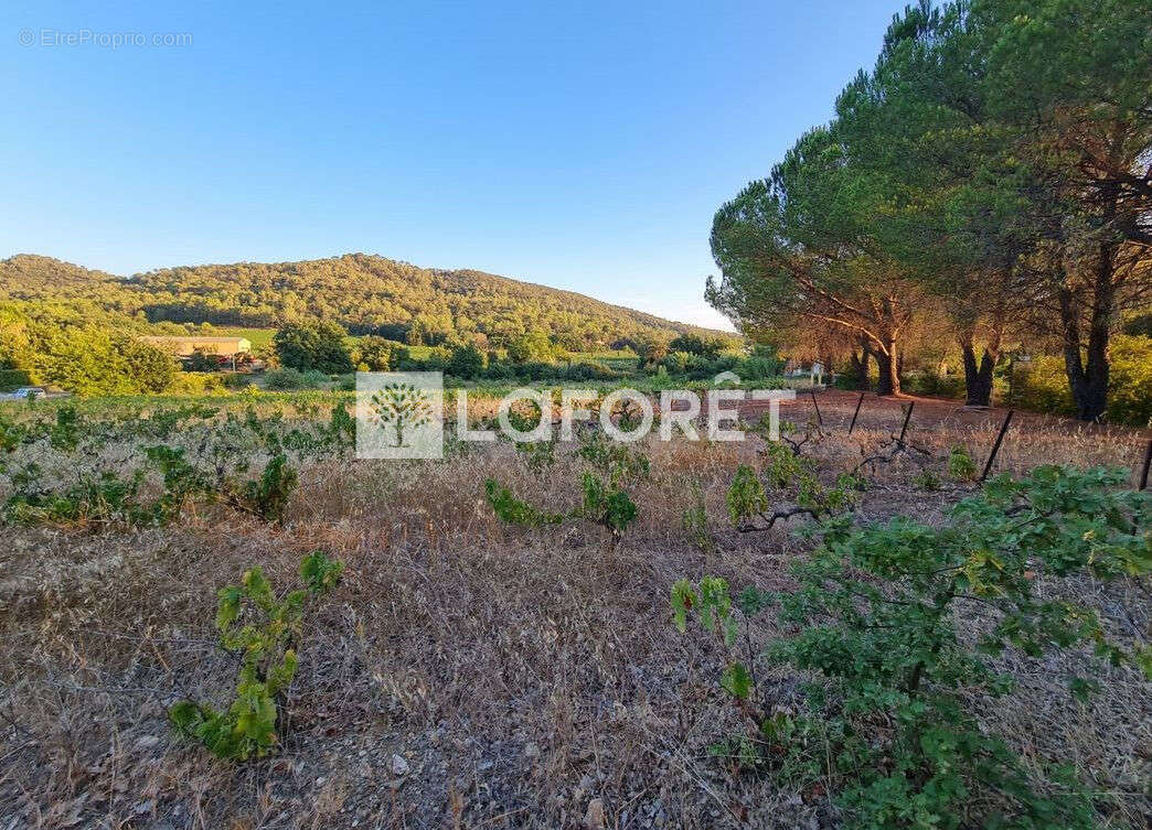 Terrain à PIERREFEU-DU-VAR