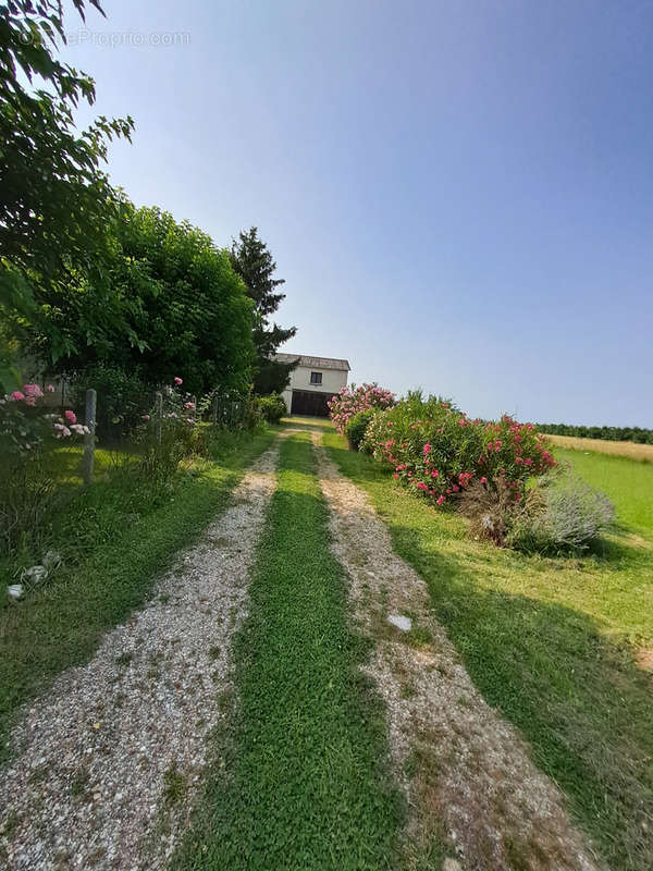 Maison à SAINTE-LIVRADE-SUR-LOT