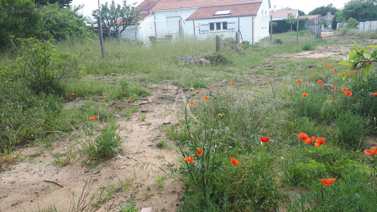 Terrain à BARBATRE