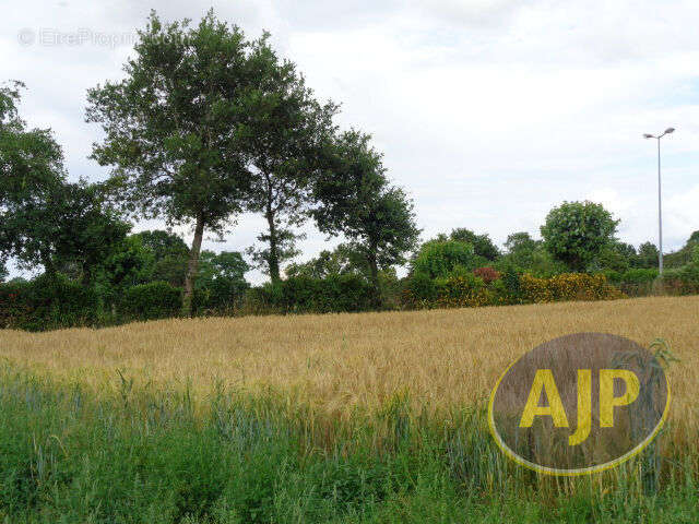 Terrain à PLUMELEC