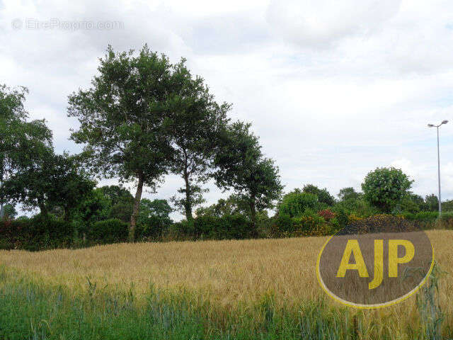 Terrain à PLUMELEC