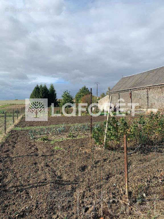 Terrain à ALAINCOURT