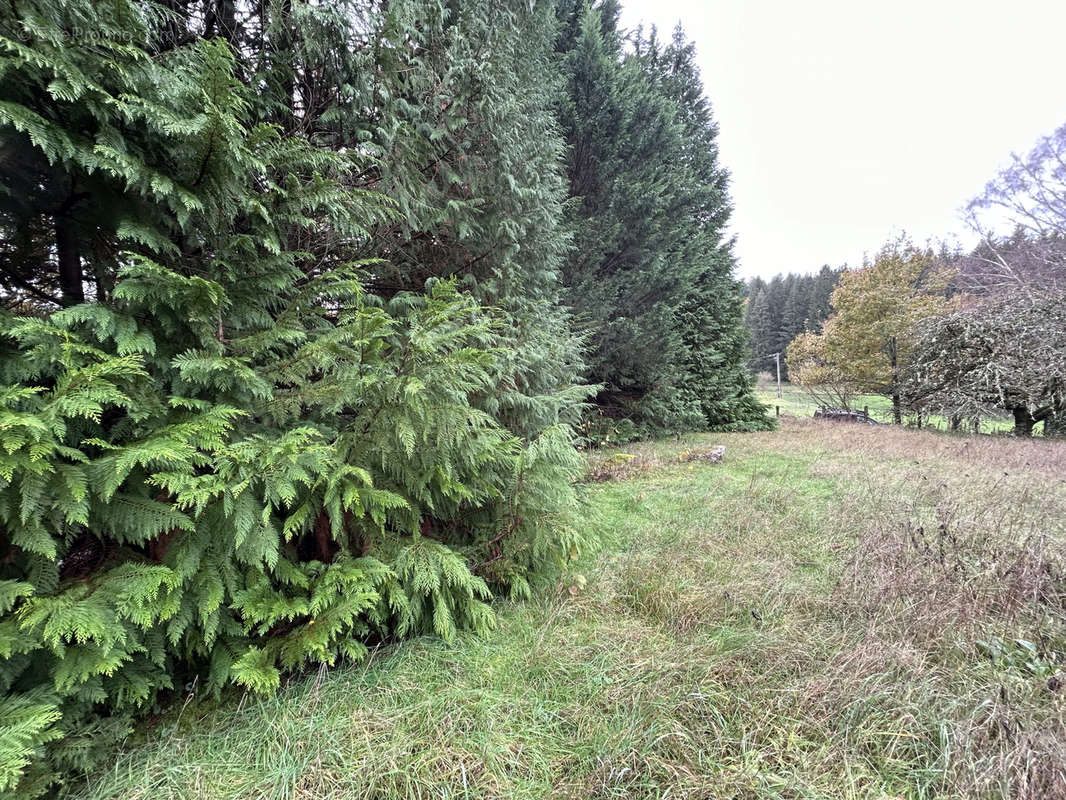 Terrain à ROSIERS-D&#039;EGLETONS