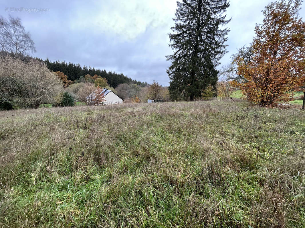 Terrain à ROSIERS-D&#039;EGLETONS