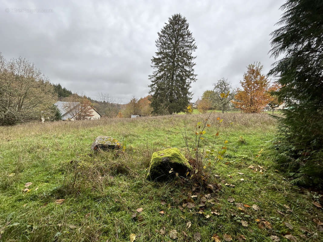 Terrain à ROSIERS-D&#039;EGLETONS