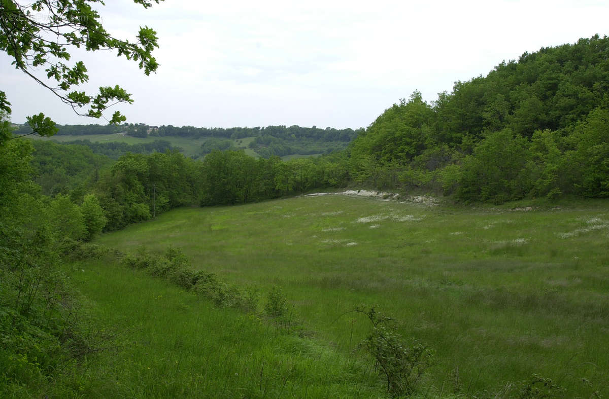 Terrain à LAROQUE-TIMBAUT