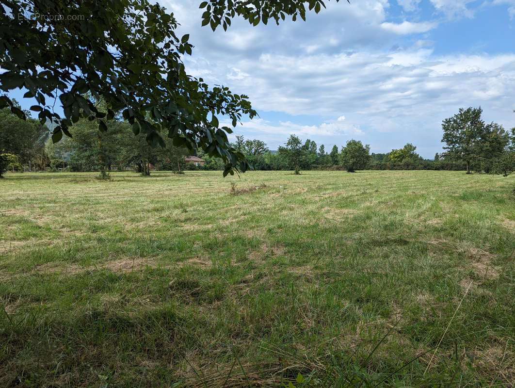 Terrain à MARTRES-TOLOSANE