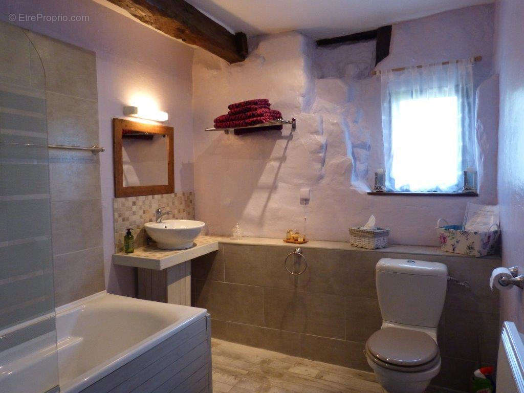 m Bathroom 2 ff - Maison à TRIE-SUR-BAISE