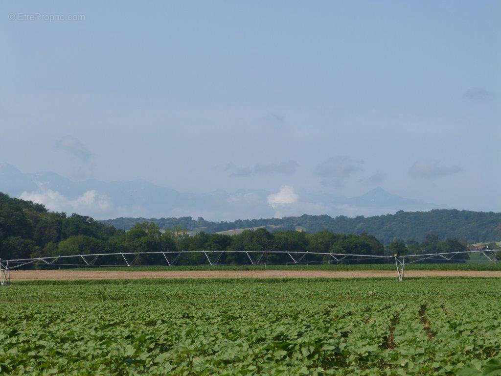 mv2 - Maison à TRIE-SUR-BAISE