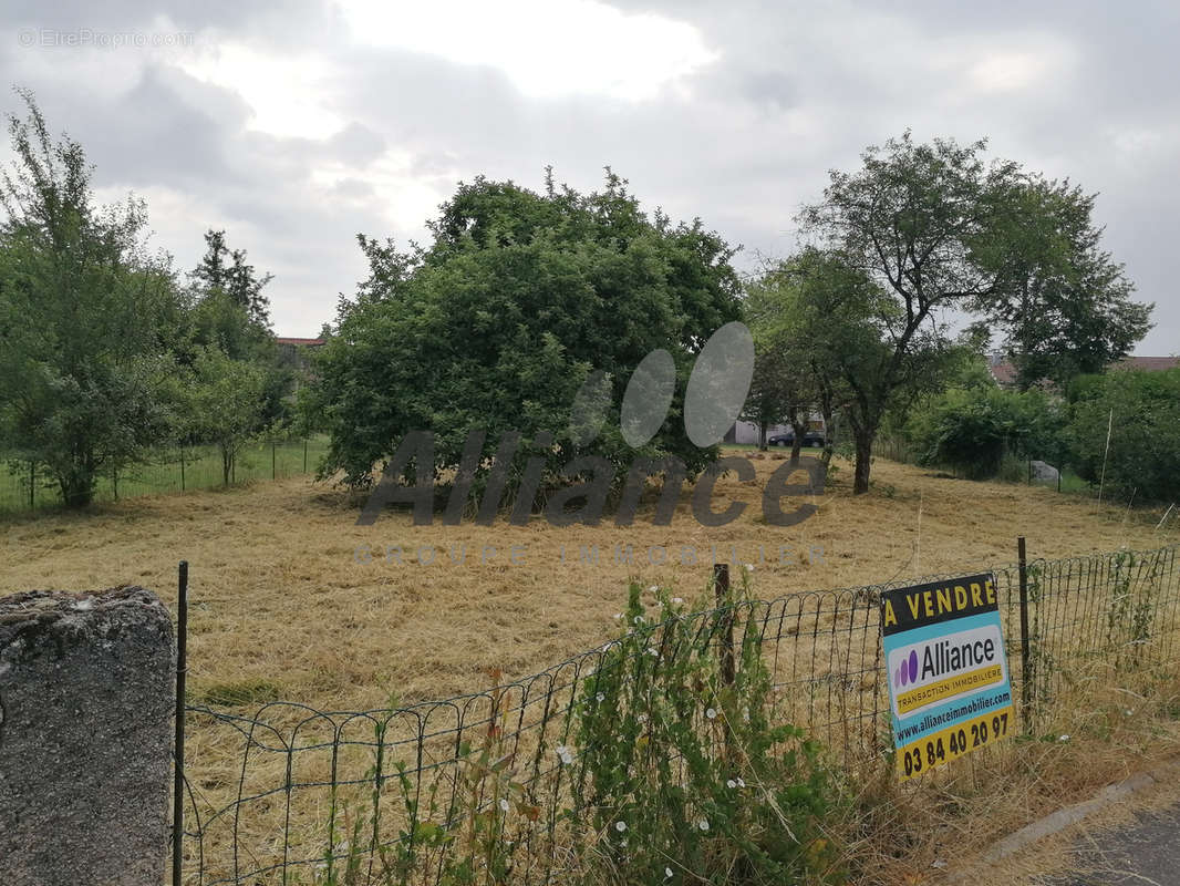 Terrain à LA CHAPELLE-LES-LUXEUIL