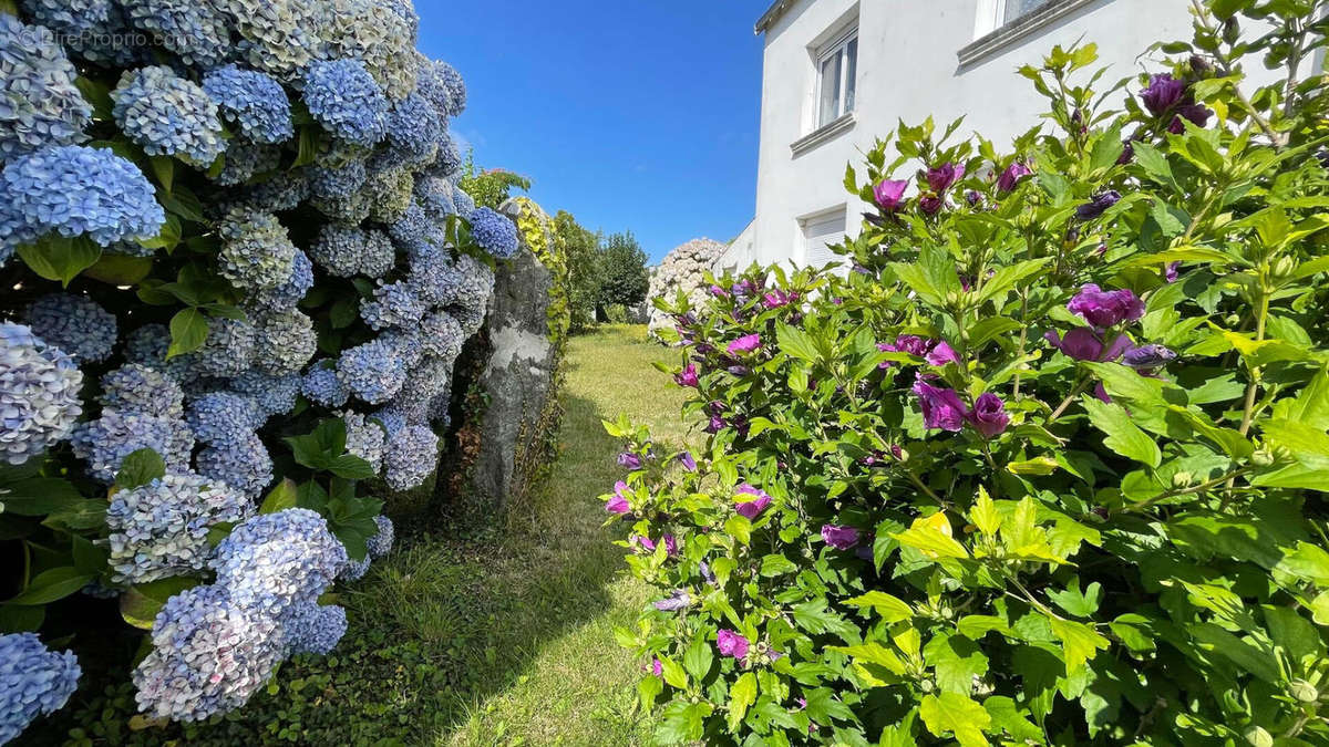 Maison à PONT-L&#039;ABBE