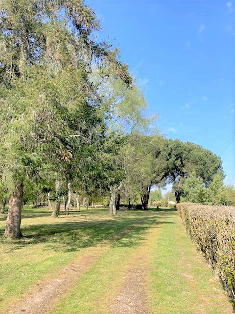 Maison à BAZAS