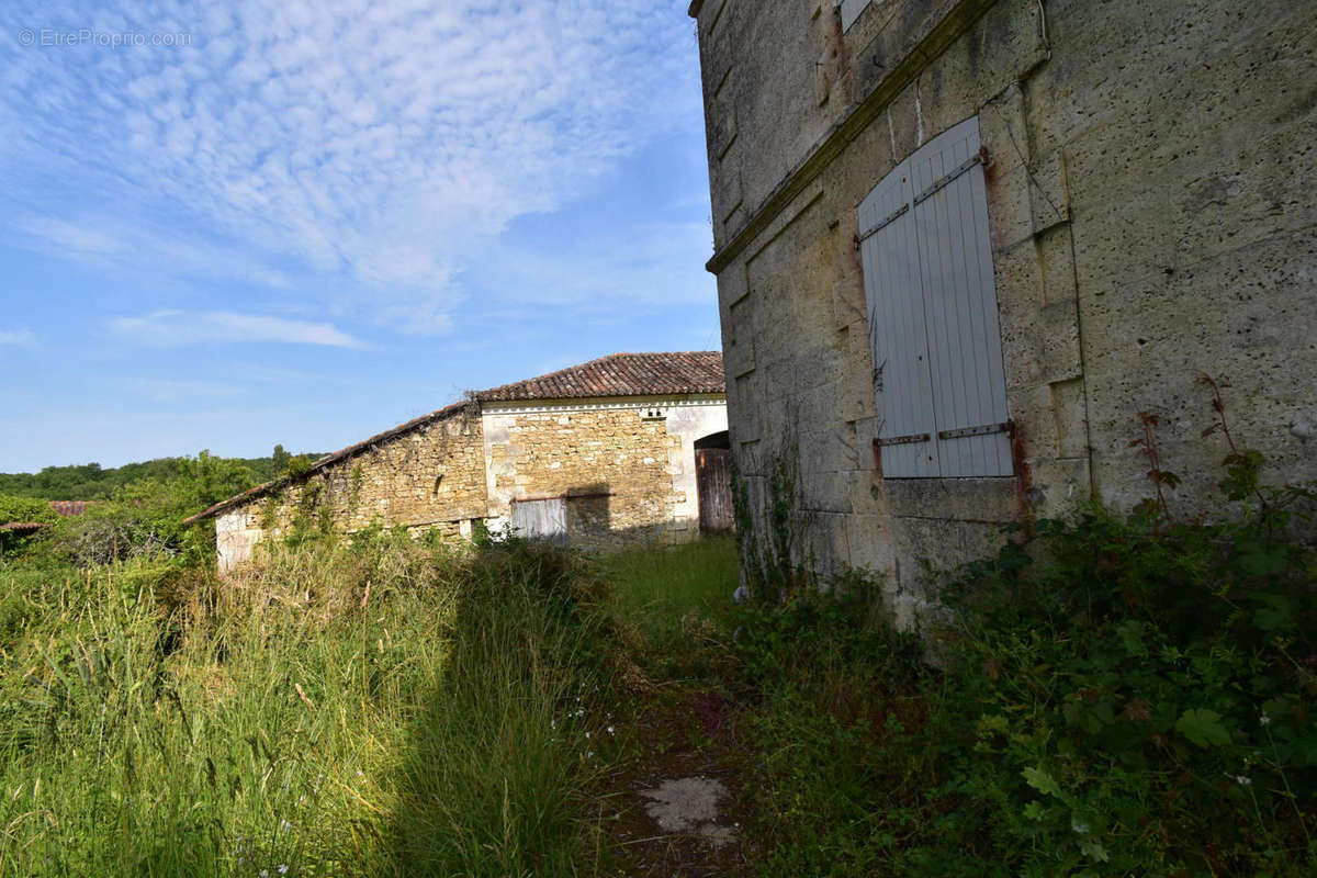 DSC_0009 - Maison à VOUZAN