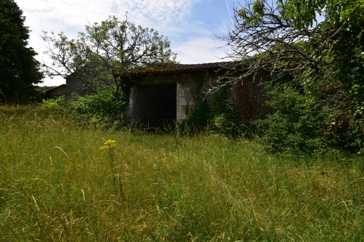 DSC_0064 - Maison à VOUZAN