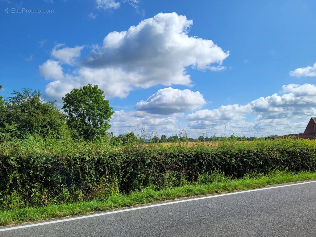 Terrain à AVESNES-SUR-HELPE