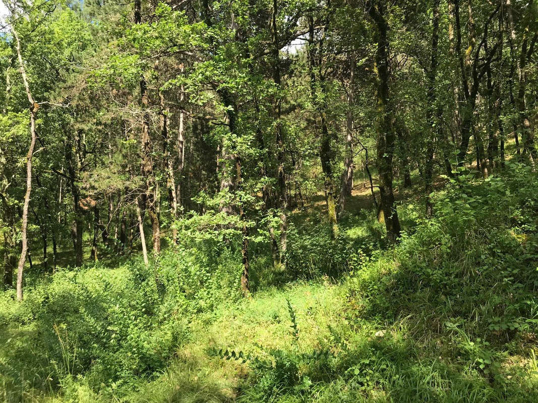 Terrain à PUY-L&#039;EVEQUE