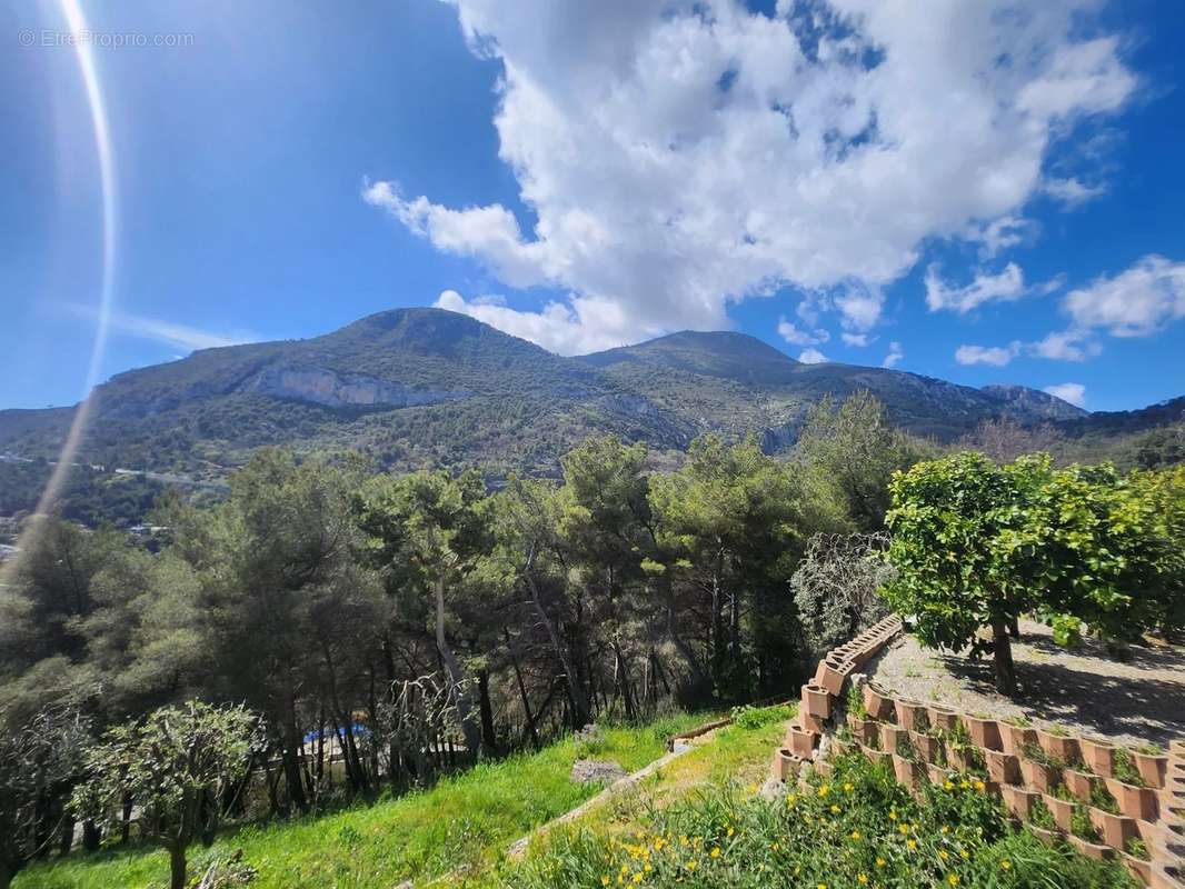 Maison à ROQUEBRUNE-CAP-MARTIN