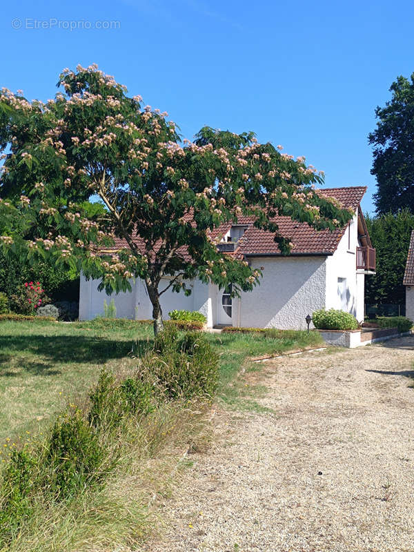 Maison à VIGNOUX-SUR-BARANGEON