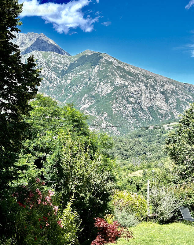 Appartement à BOCOGNANO