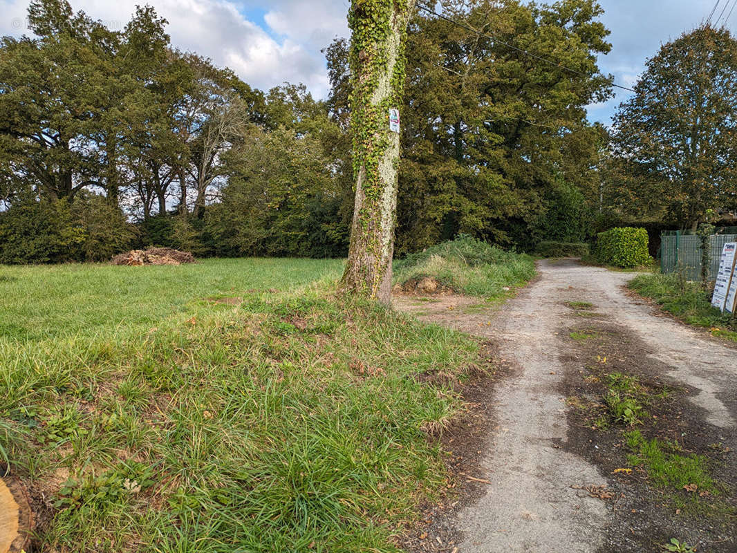 Terrain à RIEUX