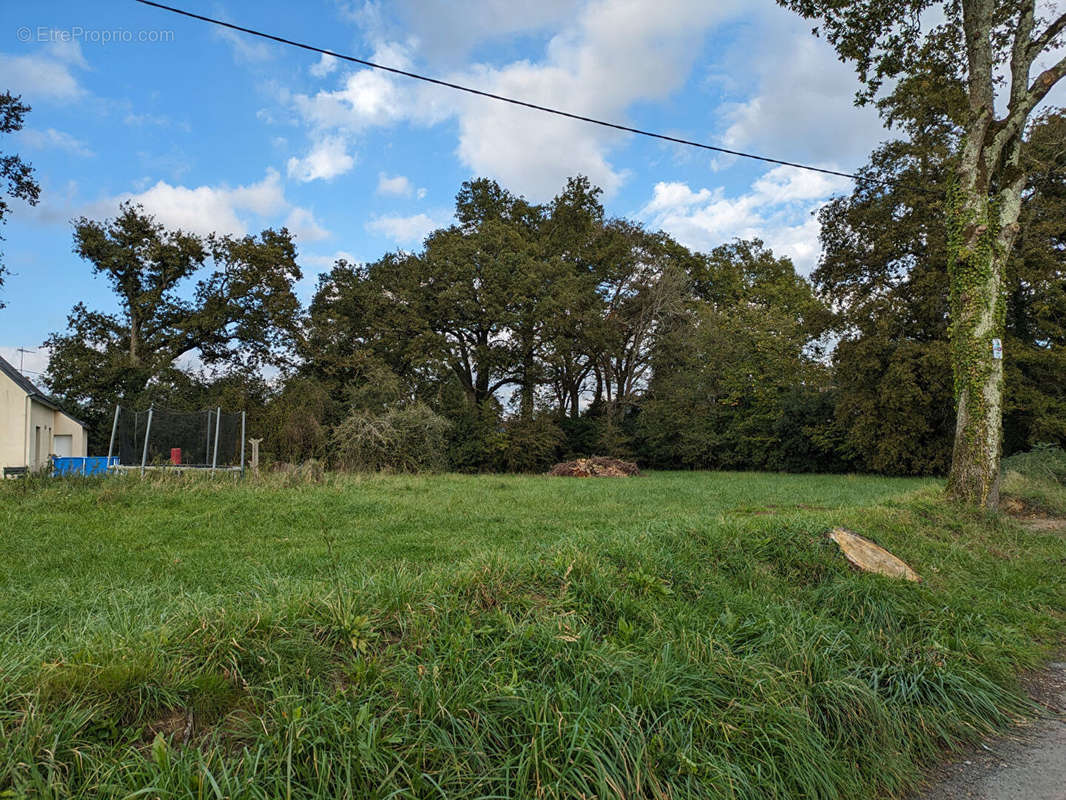 Terrain à RIEUX