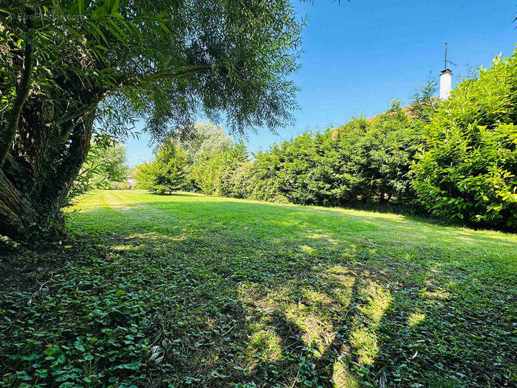 Terrain à SAINT-JOSSE