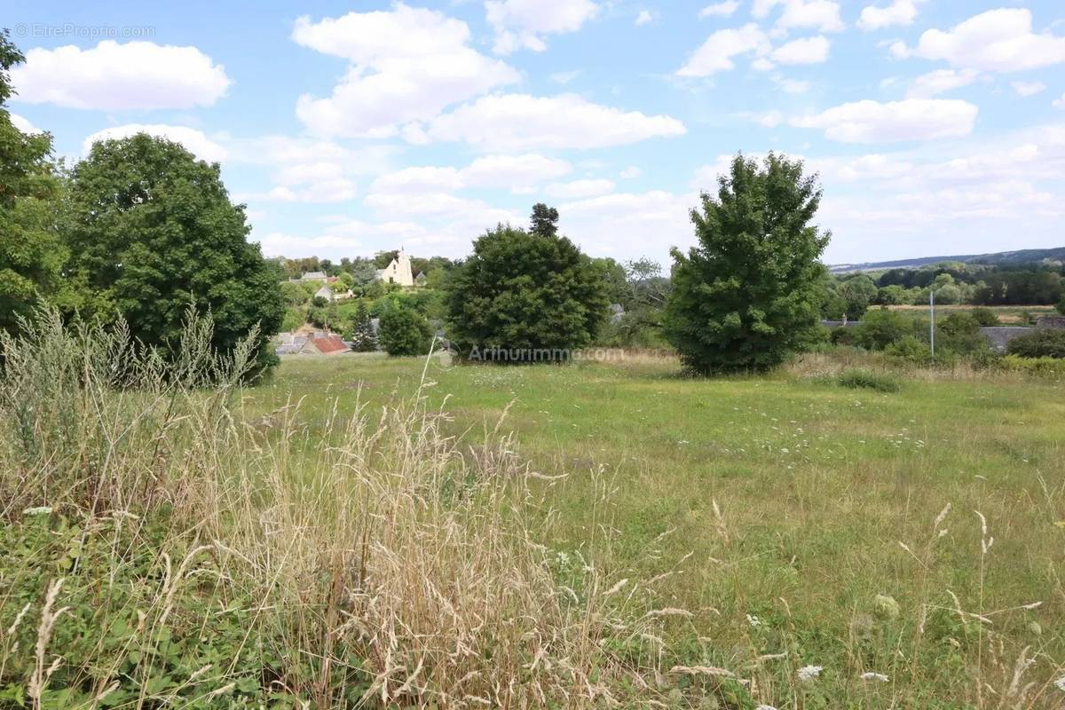 Terrain à PONCE-SUR-LE-LOIR