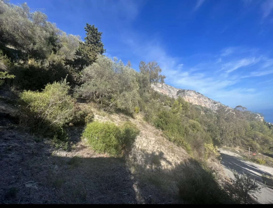 Terrain à MENTON