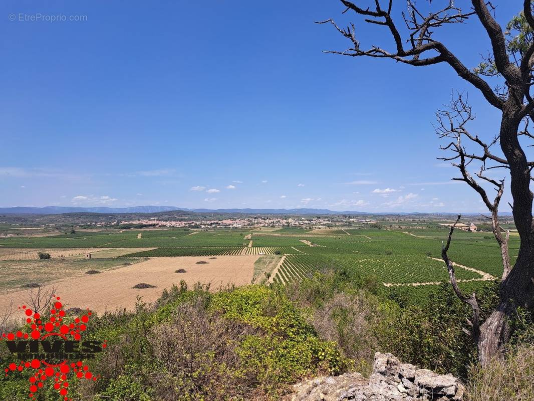 Terrain à CAPESTANG