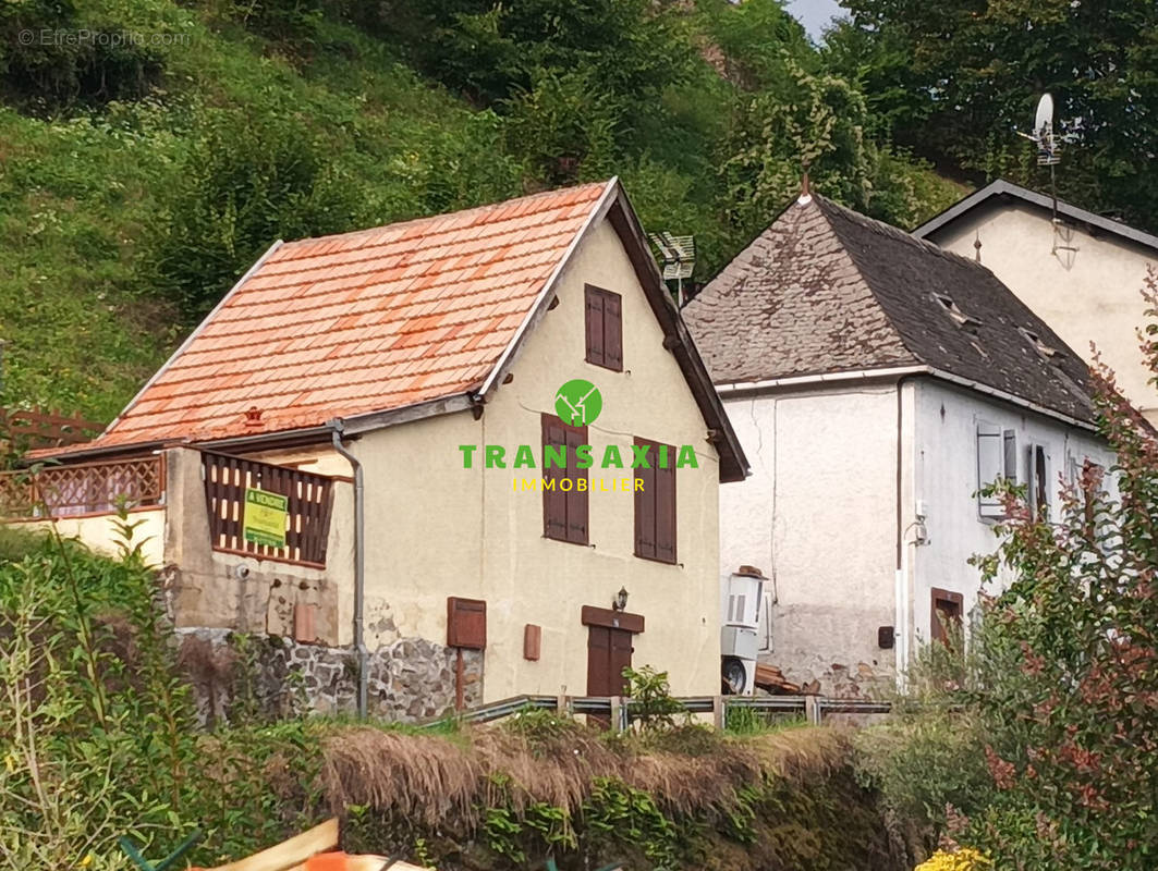 Vus côté jardin - Maison à CASTILLON-EN-COUSERANS