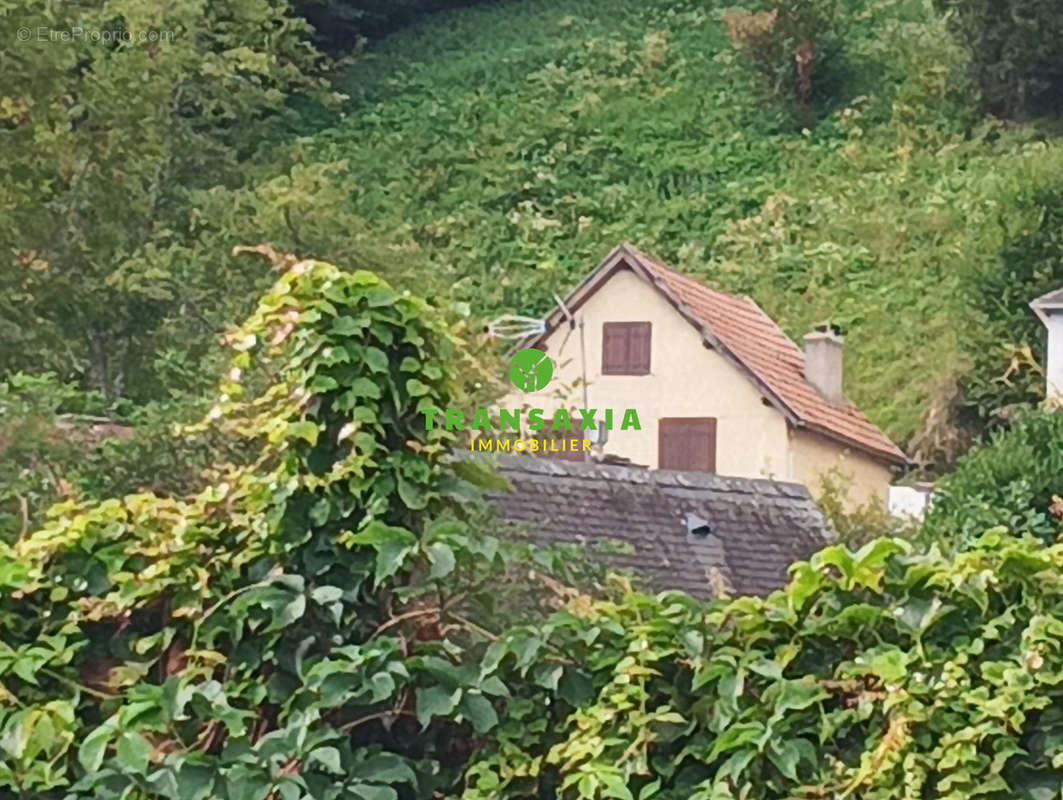 Vus sur la montagne - Maison à CASTILLON-EN-COUSERANS