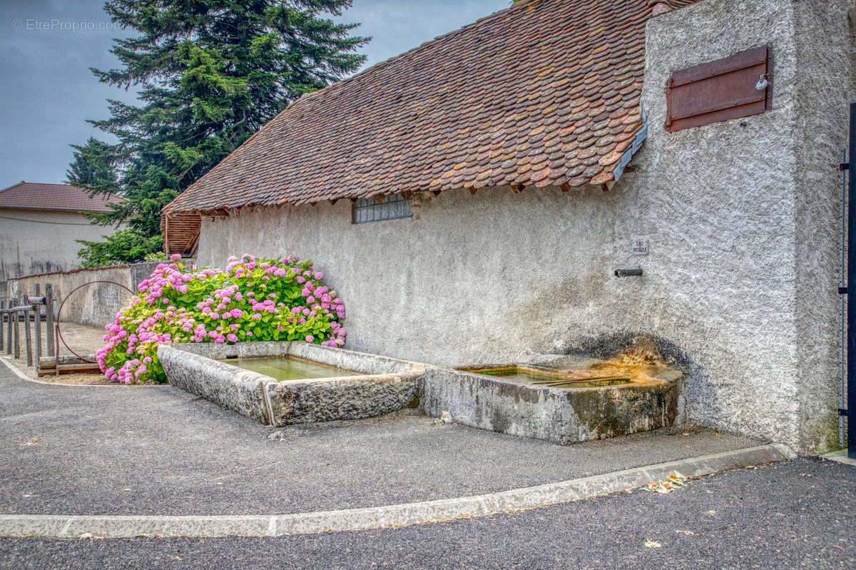 Maison à COLOMBE