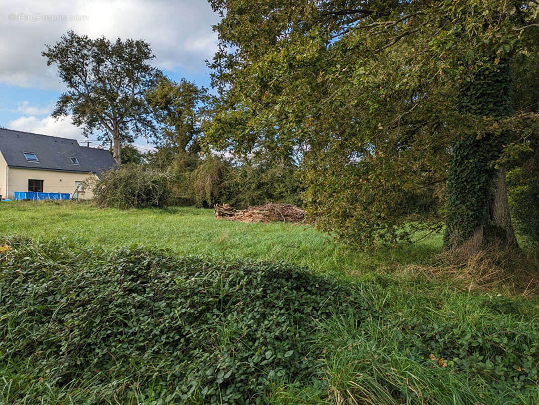 Terrain à RIEUX