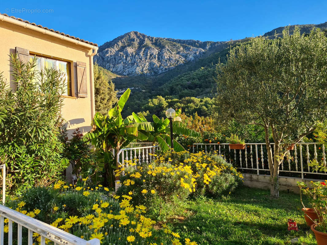 Maison à MENTON