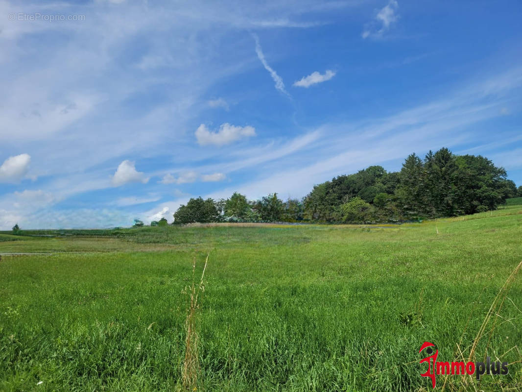 Terrain à HAGENTHAL-LE-BAS