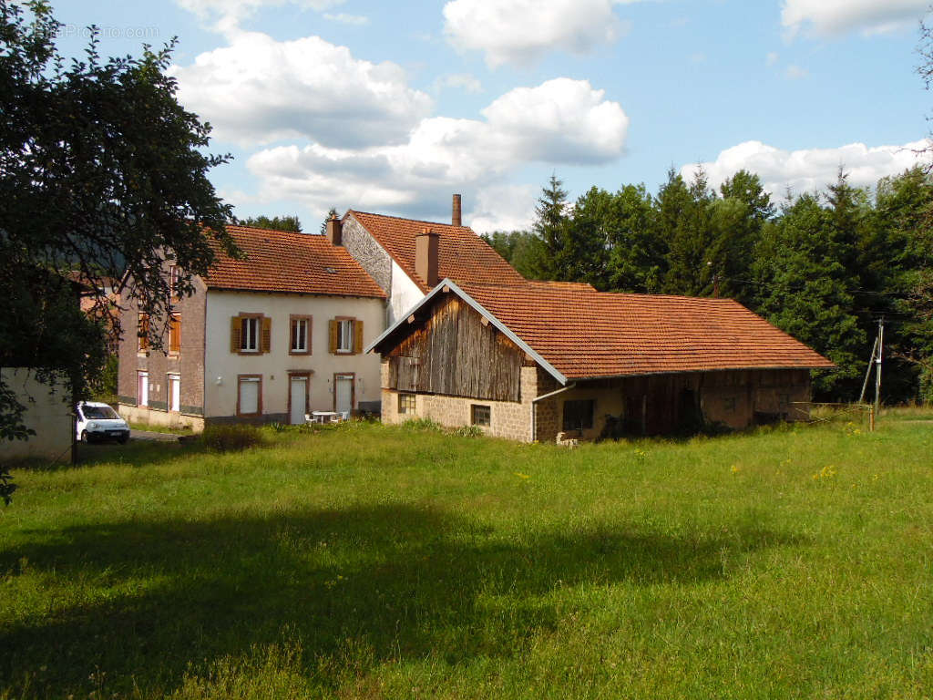 Maison à LA PETITE-RAON