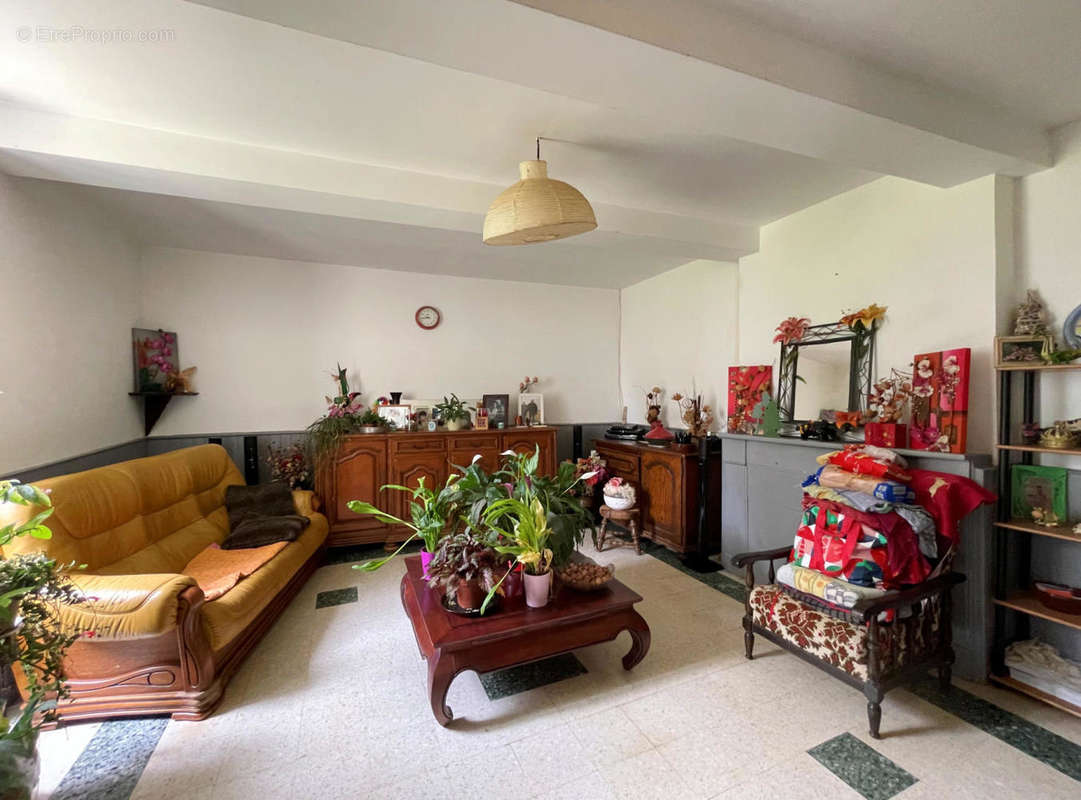 salon sitting room - Maison à LA SAUVETAT