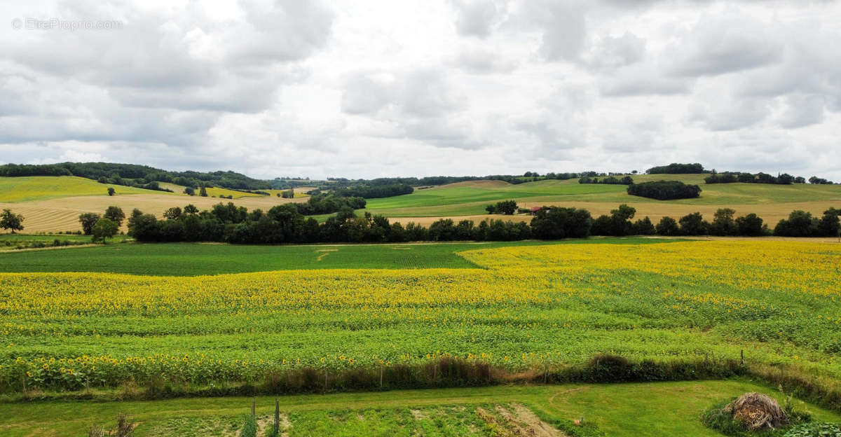 vue view 1 - Maison à LA SAUVETAT