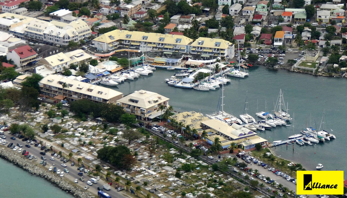 Commerce à SAINT-MARTIN