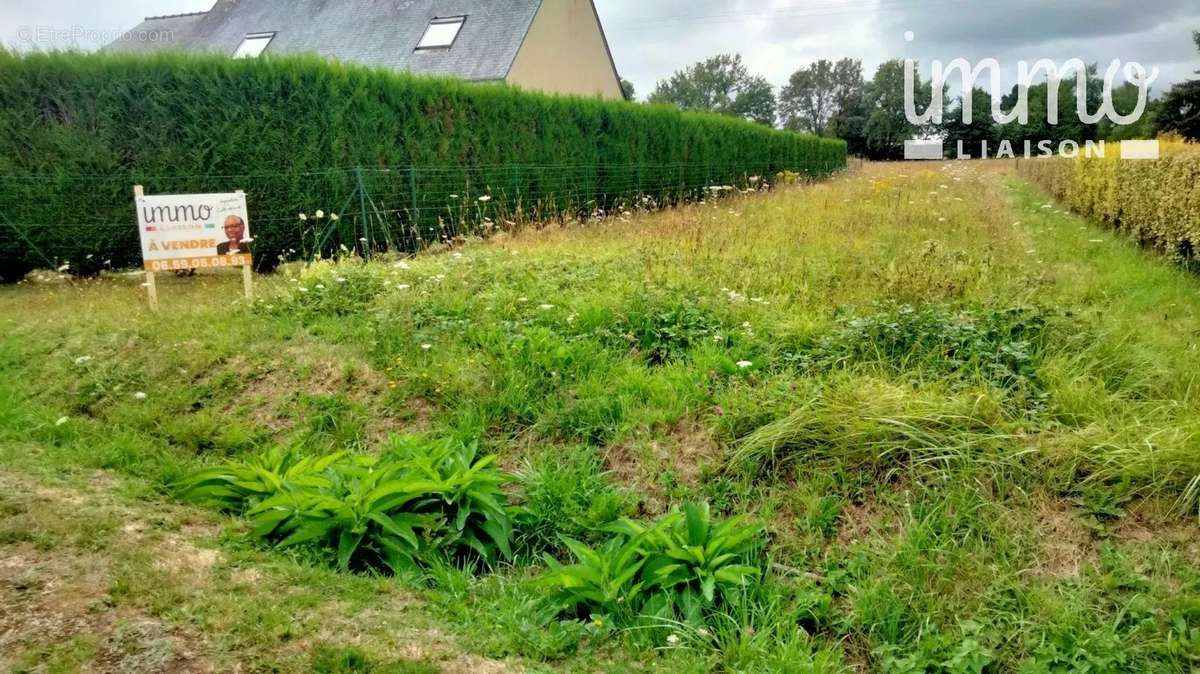 Terrain à SAINT-VINCENT-SUR-OUST