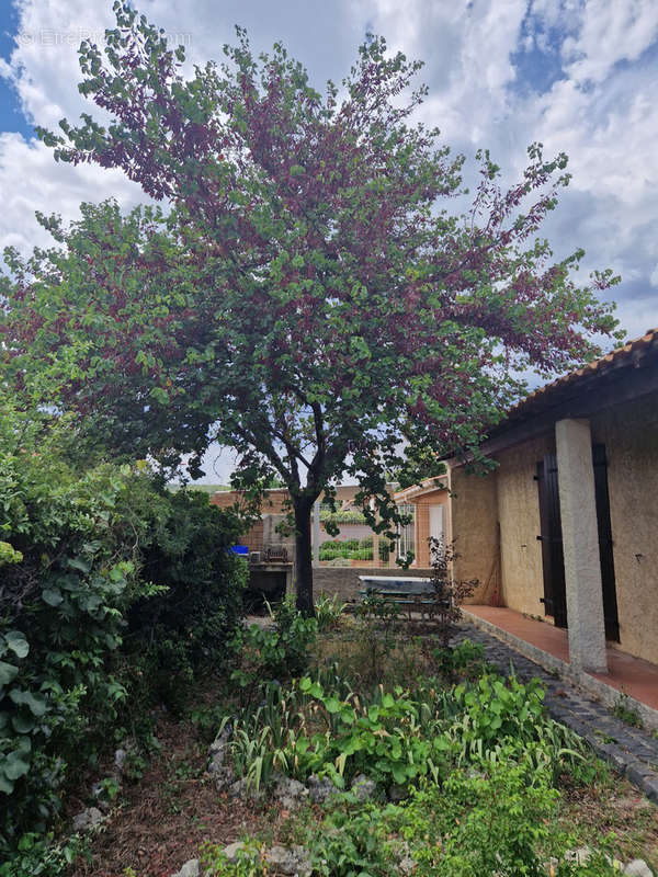 Maison à NARBONNE