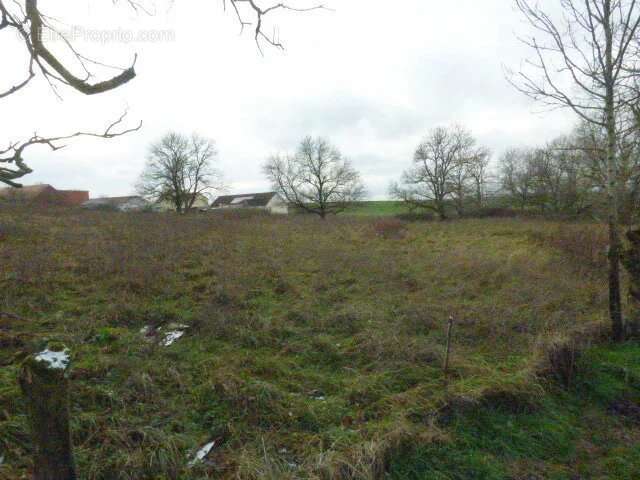 Terrain à AVRICOURT