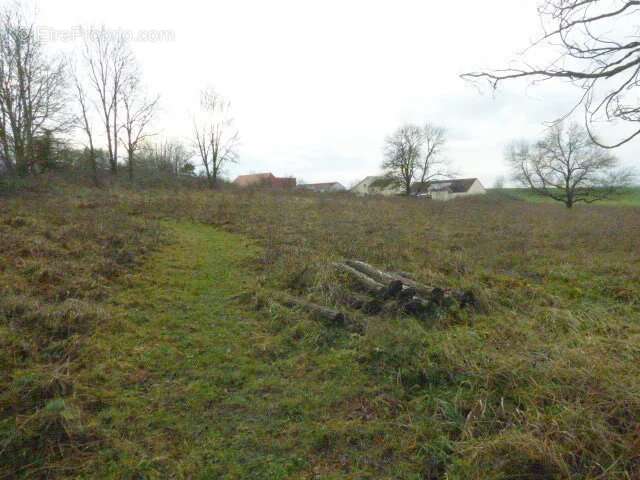 Terrain à AVRICOURT